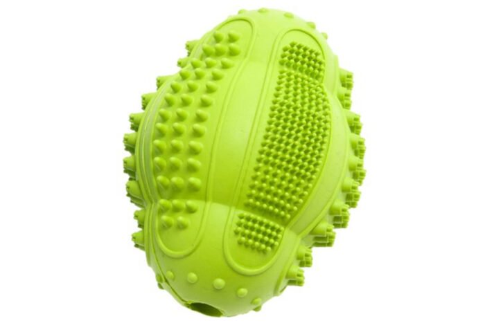 DENTAL BOUNCER RUFFUS 8x6CM ASS - Image 2