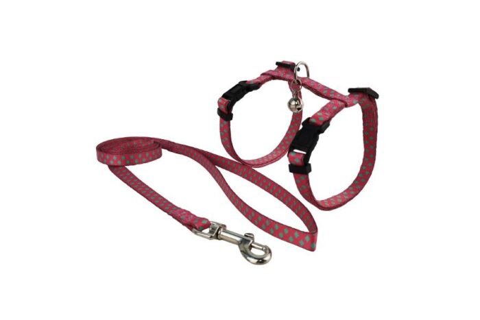 CAT HARNESS WITH LEASH PLAID FUCHSIA MEDIUM - Image 1