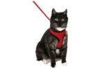 HARMS CAT HARNESS SET R/BL 120CM15MM - Image 2