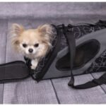 ცხოველების გადასაყვანი ჩანთა შავი ზომა: L 54x27x30სმ / Carrying bag finchley black L 54x27x30cm