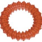 სათამაშო რუფუსის რგოლი ნარინჯისფერი 15სმ / Acua ring Ruffus - orange 15cm