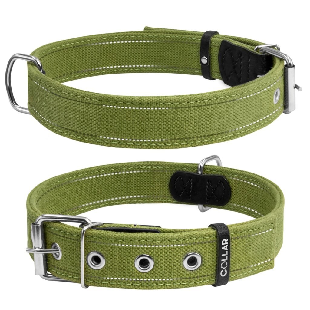 ძაღლის საყელო ბრეზენტის ზომა: 51-63სმ 35მმ - ZooLife.ge