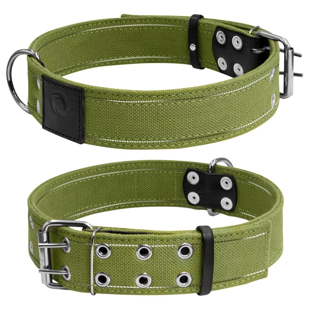 ძაღლის საყელო ბრეზენტის ზომა: 56-71სმ 45მმ - ZooLife.ge