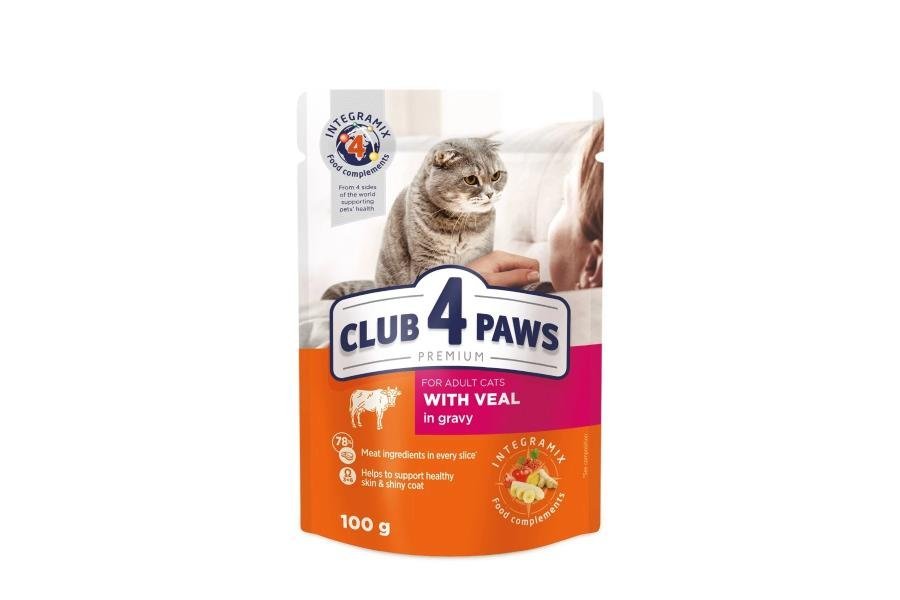 კლუბი 4 თათი სველი საკვები კატებისთვის ხბოს  ხორცით   ჟელეში 100გრ - ZooLife.ge