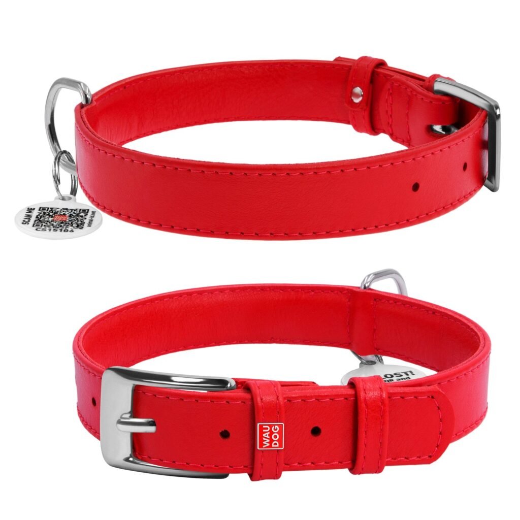 ძაღლის ტყავის საყელო QR პასპორტით - წითელი ზომა M 30-39სმ 20მმ - ZooLife.ge