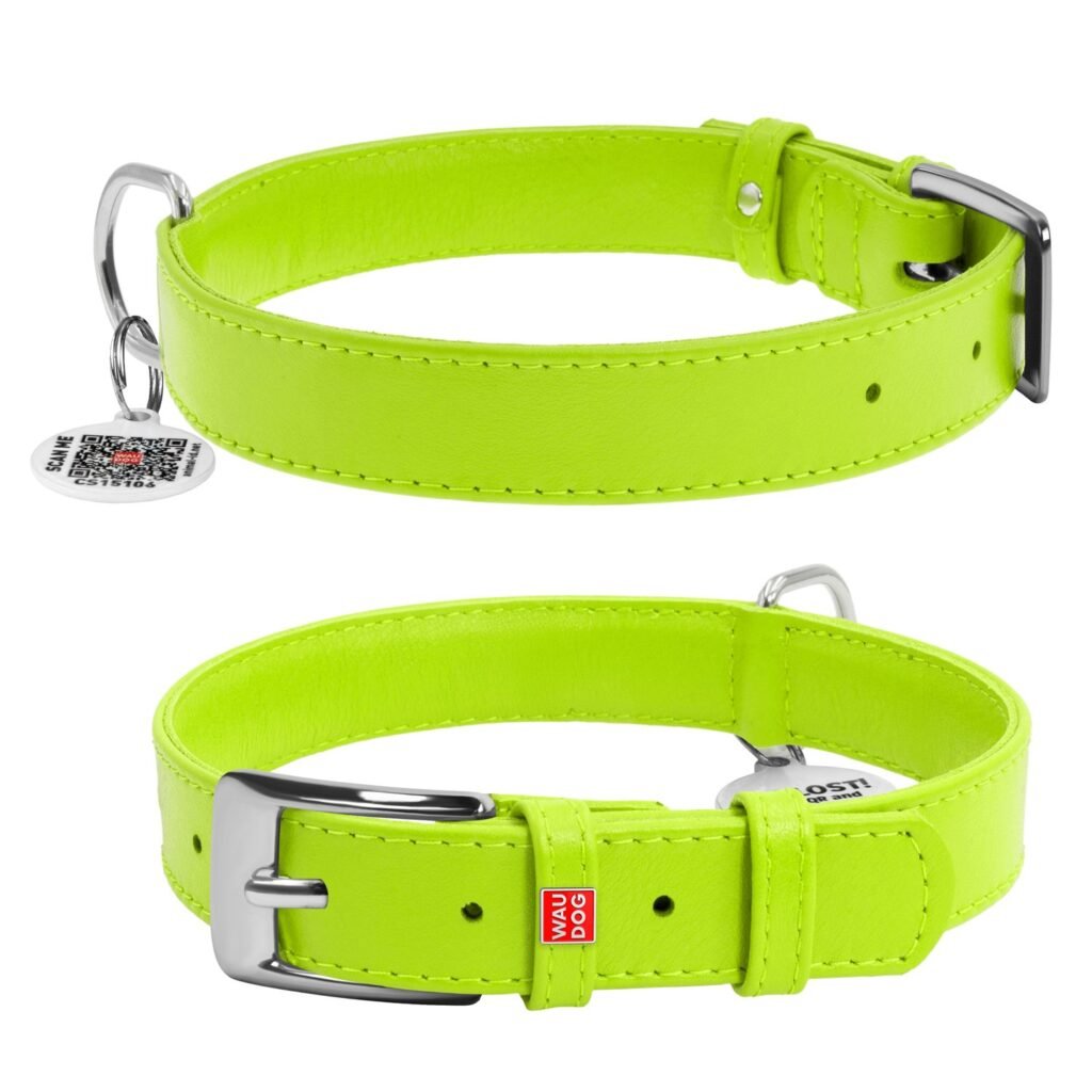 ძაღლის ტყავის საყელო QR პასპორტით - სალათისფერი ზომა M 30-39სმ 20მმ - ZooLife.ge