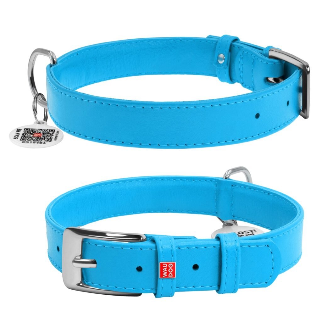 ძაღლის ტყავის საყელო QR პასპორტით - ცისფერი ზომა L 38-49სმ 25მმ - ZooLife.ge