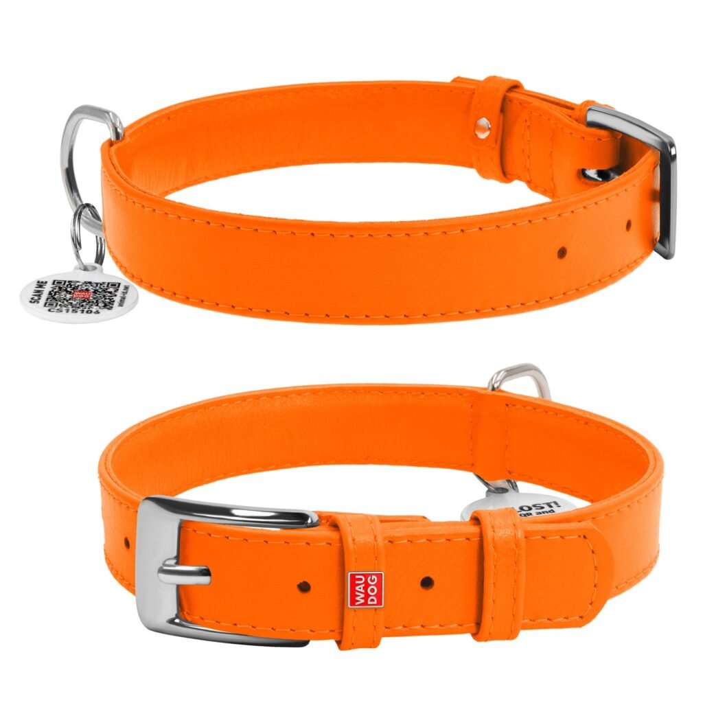 ძაღლის ტყავის საყელო QR პასპორტით - სტაფილოსფერი ზომა L 38-49სმ 25მმ - ZooLife.ge