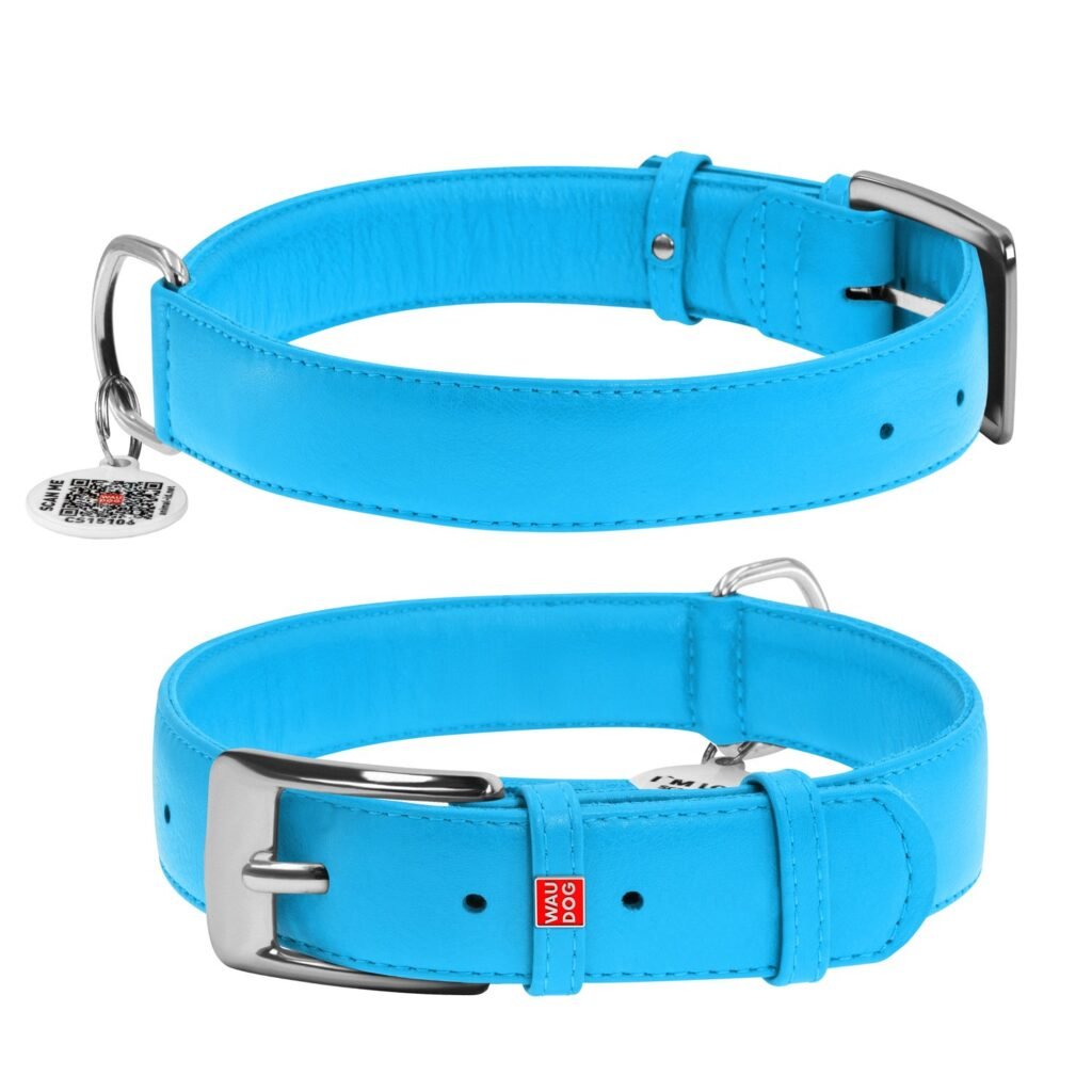 ძაღლის ტყავის საყელო QR პასპორტით - ცისფერი ზომა XL 46-60სმ 35მმ - ZooLife.ge