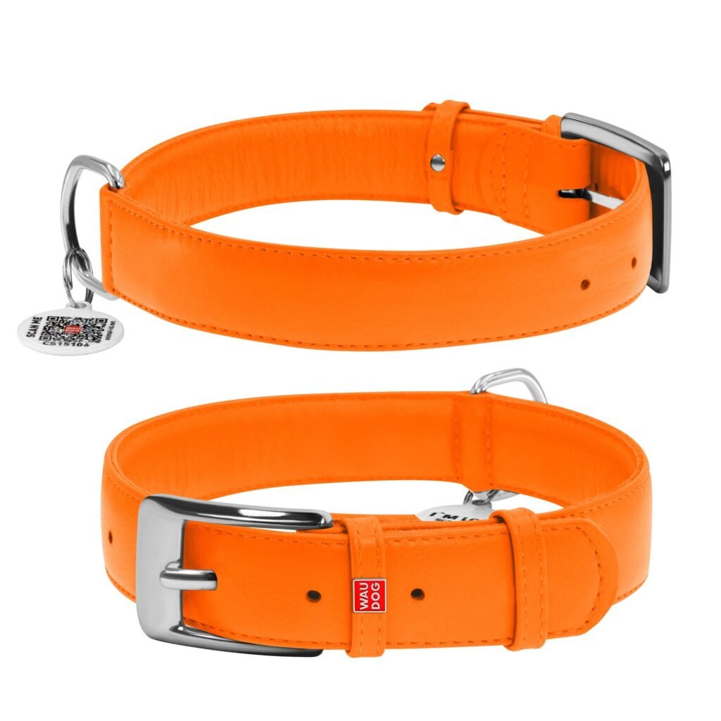 ძაღლის ტყავის საყელო QR პასპორტით - სტაფილოსფერი ზომა XL 46-60სმ 35მმ - ZooLife.ge