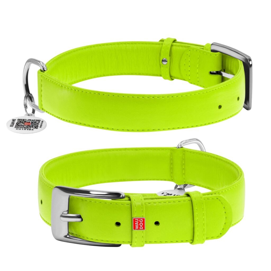 ძაღლის ტყავის საყელო QR პასპორტით - სალათისფერი ზომა XL 46-60სმ 35მმ - ZooLife.ge