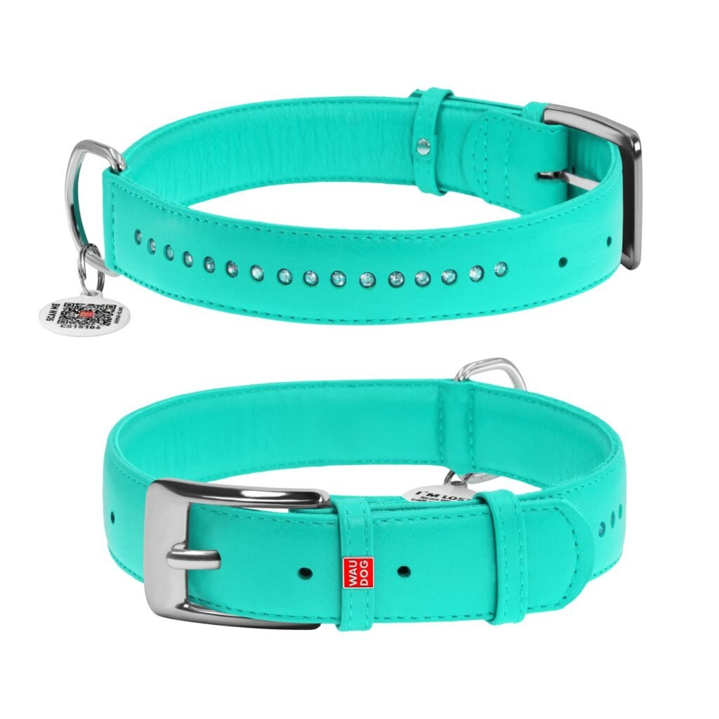 ძაღლის ტყავის საყელო QR პასპორტით - პიტნისფერი ზომა L 38-49სმ 25მმ - ZooLife.ge