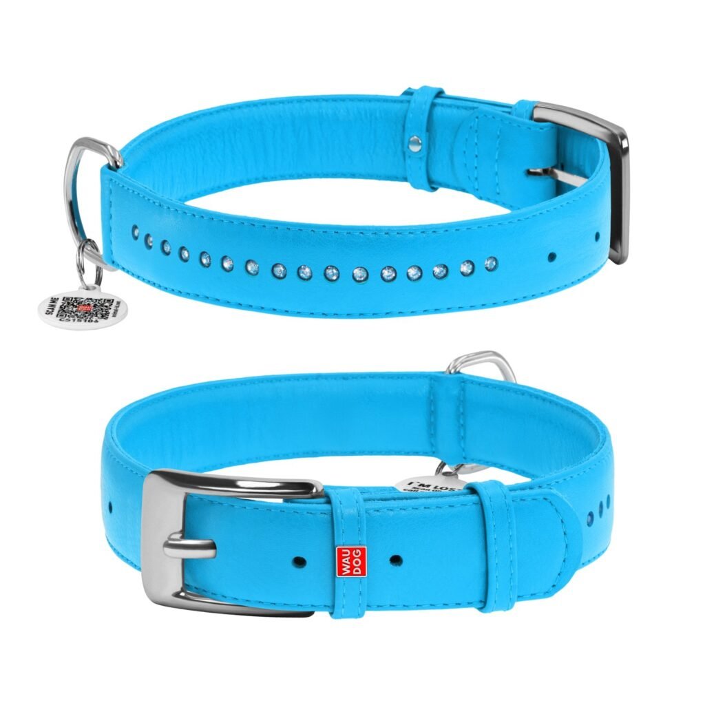 ძაღლის ტყავის საყელო QR პასპორტით - ცისფერი ზომა S 27-36სმ 15მმ - ZooLife.ge