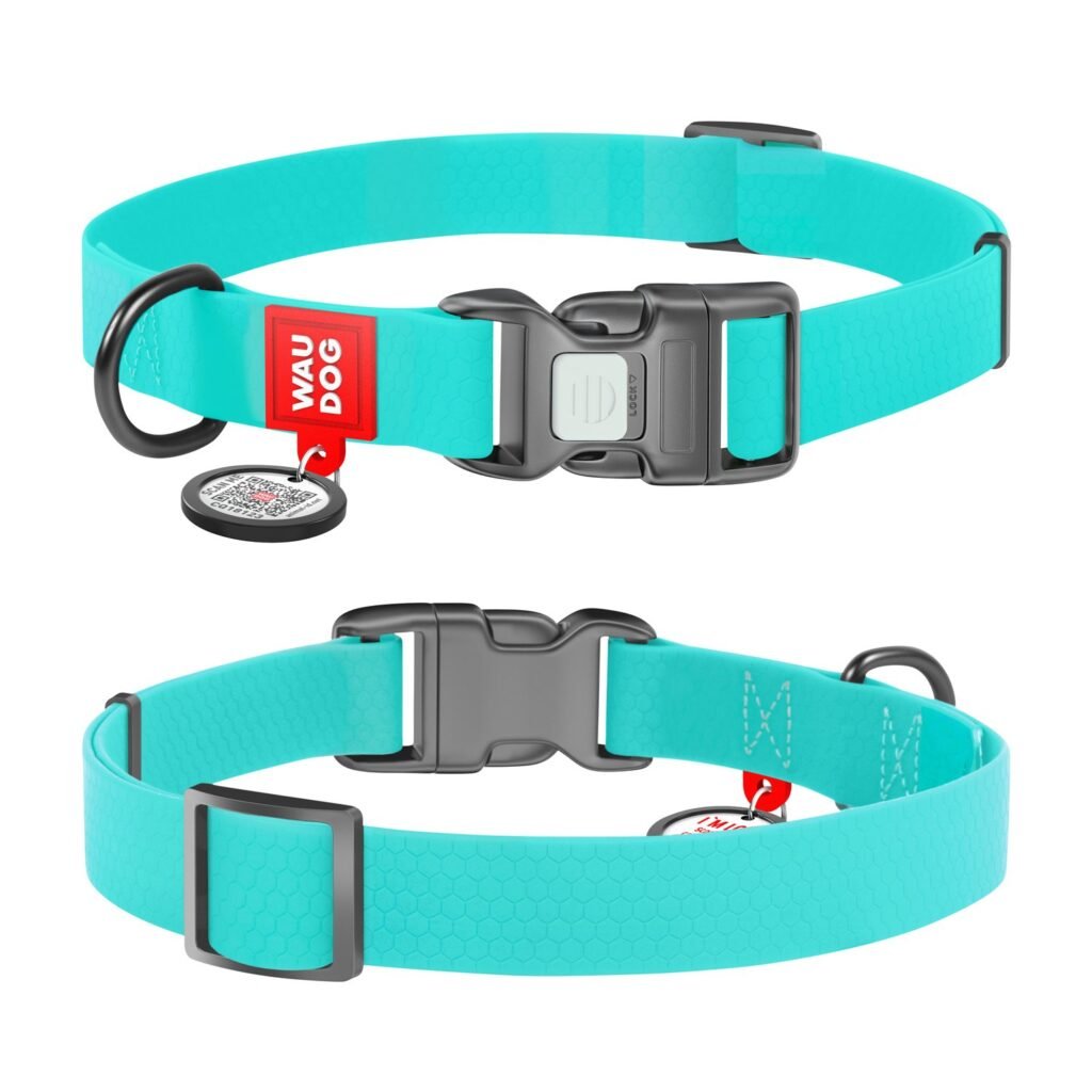 ძაღლის წყალგაუმტარი საყელო QR პასპორტით - ცისფერი 28-40სმ 20მმ - ZooLife.ge