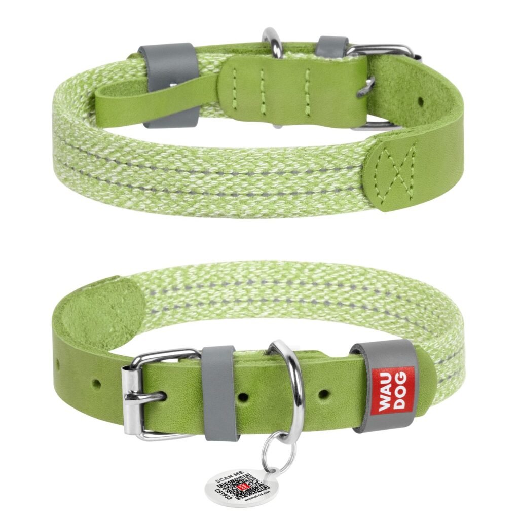 ძაღლის საყელო QR პასპორტით მწვანე ზომა L 38-49სმ 25მმ - ZooLife.ge