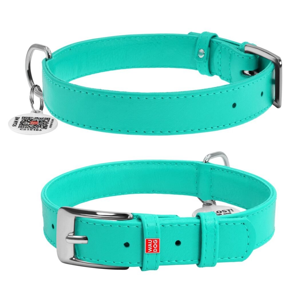 ძაღლის ტყავის საყელო QR პასპორტით ზომა M 30-39სმ 20მმ - ZooLife.ge