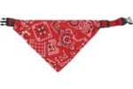 ძაღლის საყელო/ბენდენა წითელი ზომა xs 22-35 სმ / Collar bandana pinto red xs 22-35cm