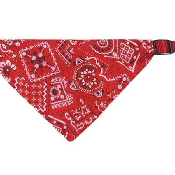 ძაღლის საყელო/ბენდენა წითელი ზომა xs 22-35 სმ / Collar bandana pinto red xs 22-35cm