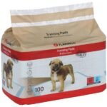 დასაფენი პამპერსი 100 ცალი ზომა-M 65x45 სმ / Training pad pady 100pcs size:M 60x45cm