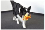 DT TPR ANDO DUCK YELLOW 16CM - Image 2