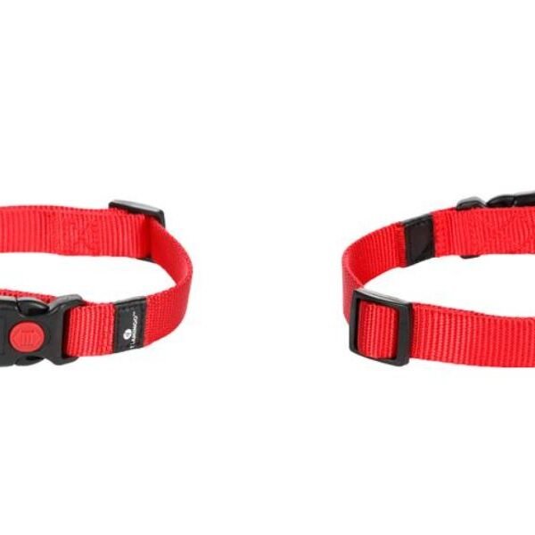 ძაღლის საყელო ზიგი - ზითელი M 40-55სმ 20მმ/ Collar Ziggi Red M 40-55cm 20mm