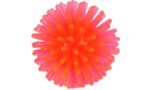 CT HEDGEHOG BALLS IN TUBE სათამაშო ზღარბის ბურთი - Image 3