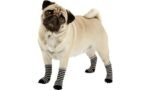 ძაღლის წინდები შავი/ნაცრისფერი M  /dog Socks Sockies 4 pcs/set Black&Grey M - Image 2