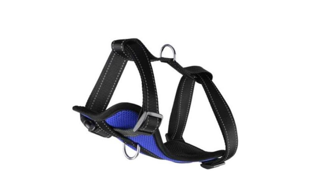 ძაღლის სამკერდე აღკაზმულობა ლურჯი M 26-49სმ / H-harness Milou blue M 29-46cm 20mm - ZooLife.ge