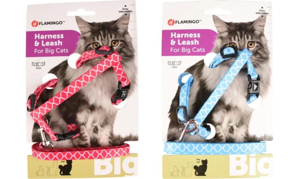 კატის სამკერდე აღკაზმულობა საბელით ვარდისფერი ან ცისფერი / Big cat Harness with leash Amsi pink or blue - ZooLife.ge