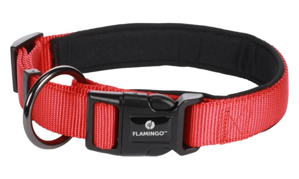 ძაღლის საყელო - წითელი M 45-50სმ 25მმ / Collar Abbi Red M 45-50cm 25mm - ZooLife.ge