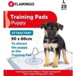 დასაფენი პამპერსი 20 ცალი ზომა L 20ცალი 90x60სმ / Training pad Pady White L 20pcs attractant 90x60cm