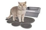 კატის ტუალეტის ხალიჩა - ნაცრისფერი 30x40სმ / Litter tray mat for cats pitou grey 30x40cm - Image 2