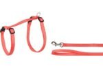 CAT HARNESS+LEASH BIG CAT AIWA 25-40CM 10MM ASSORTMENT - Image 3