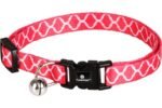 CAT COLLAR AMSI 20-35CM 10MM ASSORTMENT - Image 4