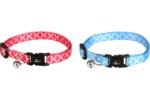 CAT COLLAR AMSI 20-35CM 10MM ASSORTMENT - Image 2