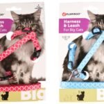 CAT HARNESS + LEASH BIG CAT AMSI 25-40CM 10MM ASSORTMENT