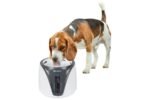 DRINKING FOUNTAIN SENSOR ADRIANA GREY - Image 4
