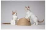 კატის საფხაჭნი ბურთით 26x14sm / Scratching dome veda beige dia 26x14cm - Image 3