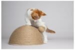 კატის საფხაჭნი ბურთით 26x14sm / Scratching dome veda beige dia 26x14cm - Image 2