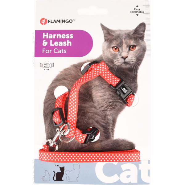 CAT COLLAR AIWA 20-35CM 10MM ASSORTMENT