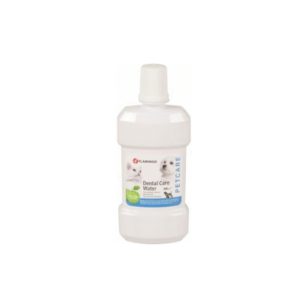 DENTAL CARE WATER SUPPL APPLE პირის ღრუს სავლები ვაშლის არომატით
