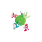 სათამაშო ლეკვებისა და პატარა ძაღლებისთვის M 12სმ /DT Fun rugspuppy TPR toy ball M 12cm