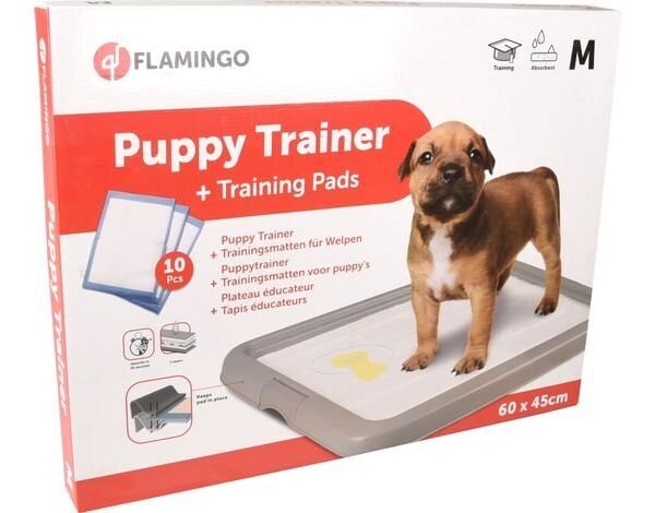 TRAINING PAD HOLDER FIFI GREY M + 10 PADS M სავარჯიშო ბალიში + საფენი