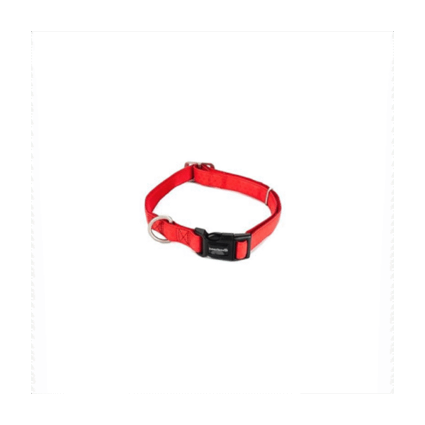 KITTEN COLLAR AIWA 15-25CM 10MM ASSORTMENT