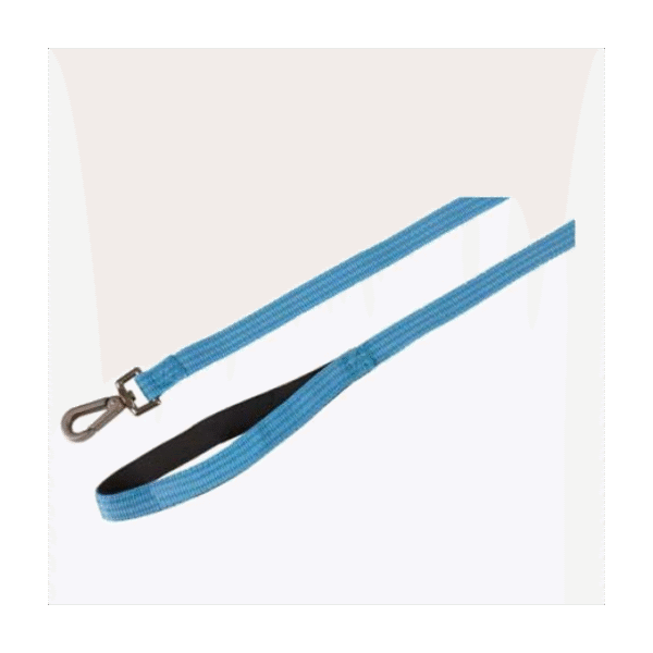 LEASH JANNU BLUE 100CM 25MM