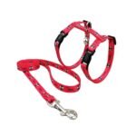 კატის სამკერდე სატარებელი საბელით / Cat Harness & Lead “Meow” Coral + Bell - Image 2