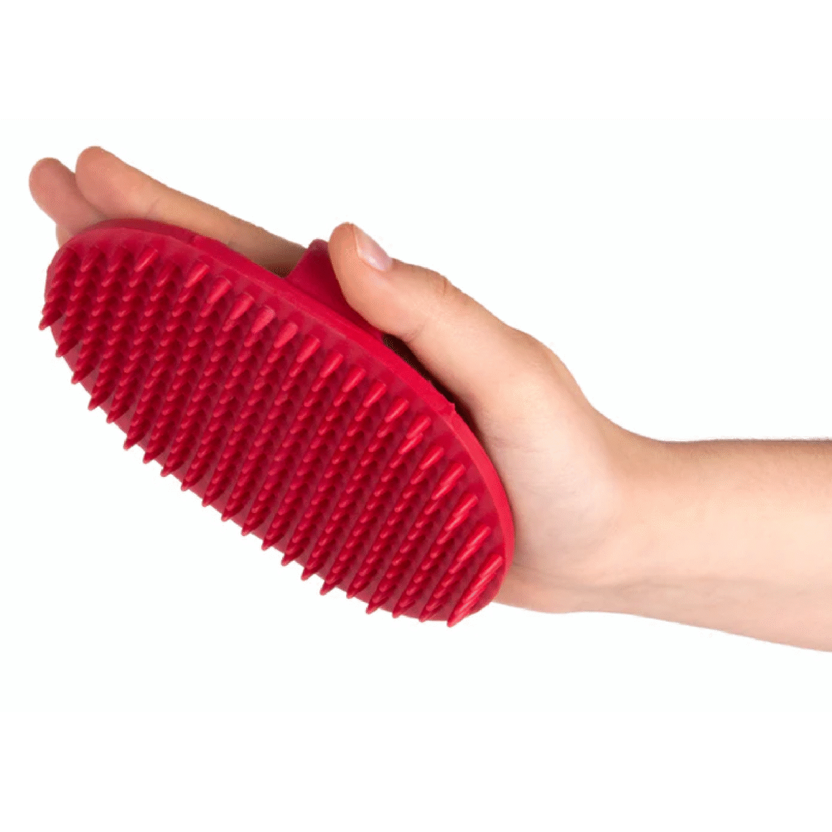 RUBBER BRUSH OVAL  ოვალური მასაჟორი - Image 1