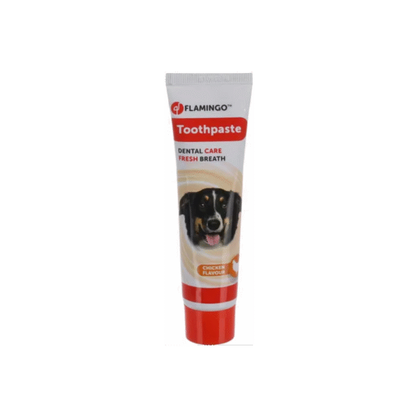 TOOTH PASTE DAFRA CHICKEN FLAVOUR 85GR DISPLAY კბილის პასტა ქათმის გემოთი 85გრ