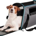 ცხოველების გადასაყვანი ჩანთა ნაცრისფერი 48x25x33სმ / Carrying bag grey 48x25x33CM