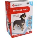 დასაფენი პამპერსი 100 ცალი ზომა-S 45x35 სმ / TRAINING PAD PADY S 100PCS 45x35CM